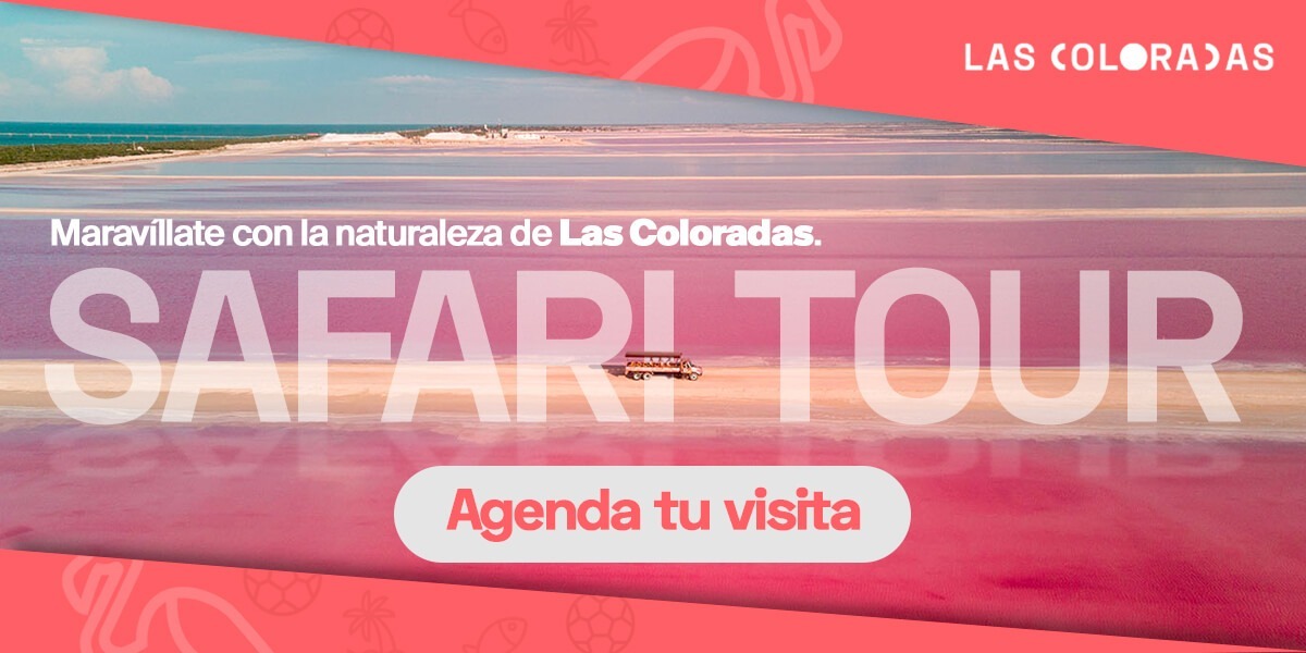 Banner Safari Tour