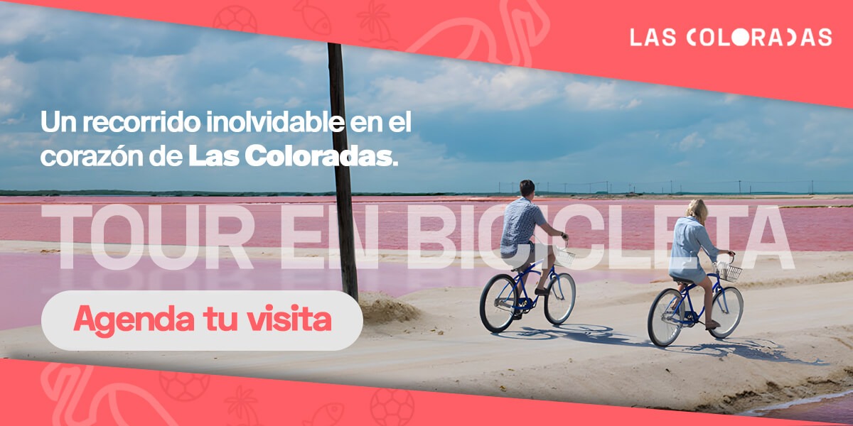 Banner Tour en bicicleta