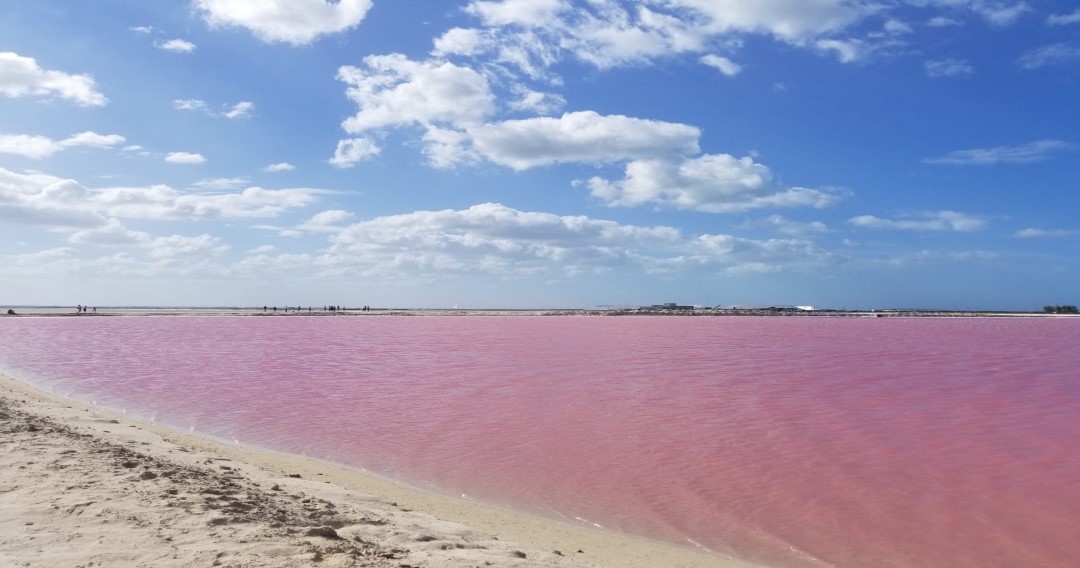 Lago rosa en Las Coloradas Yucatán