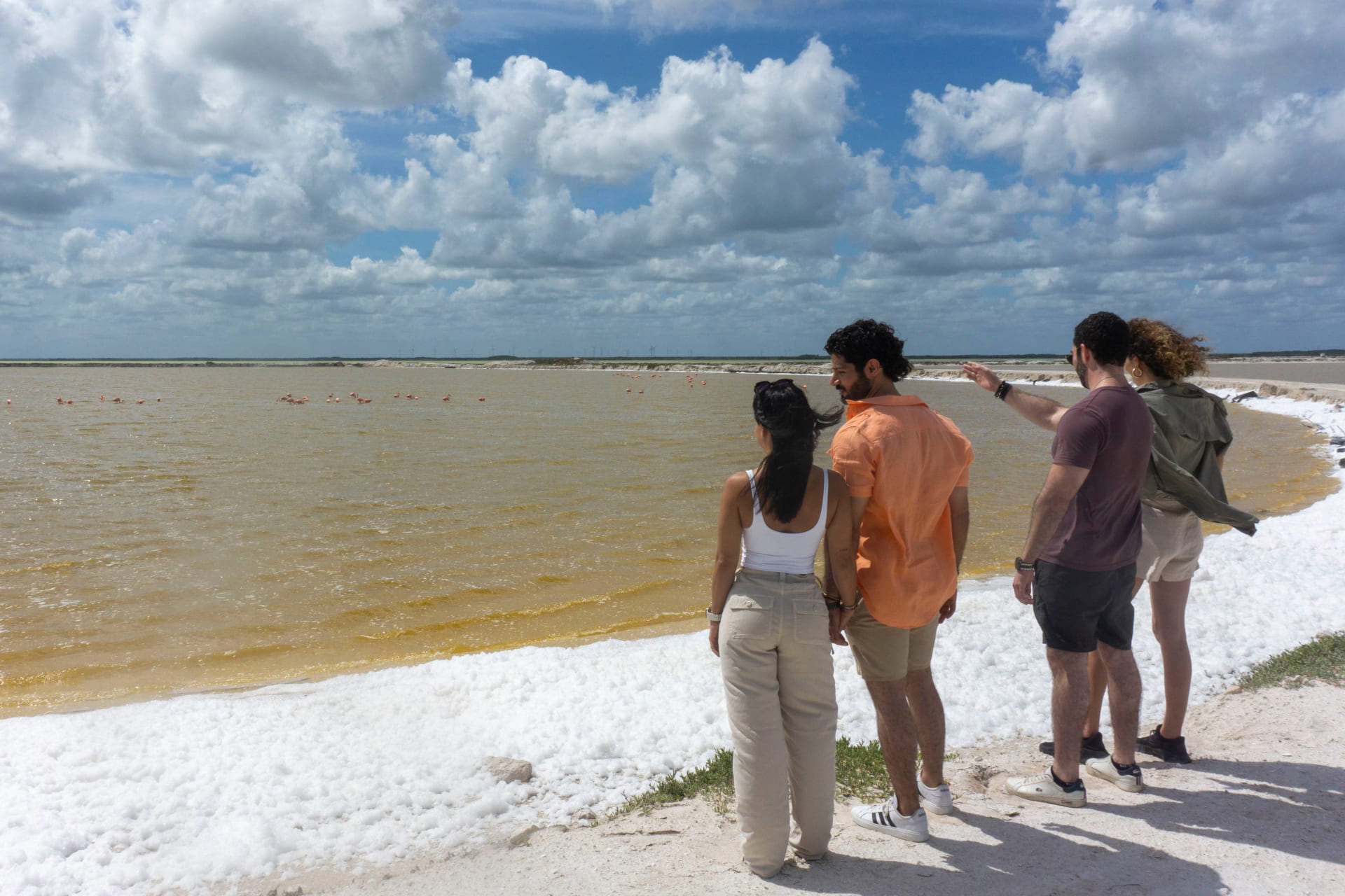Lagunas salinas de Las Coloradas, protegidas para conservar su pureza.